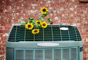 5 Pro Tips to Get Your HVAC Ready for Spring